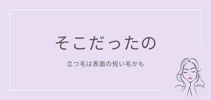 そこだったの|立つ毛は表面の短い毛かも