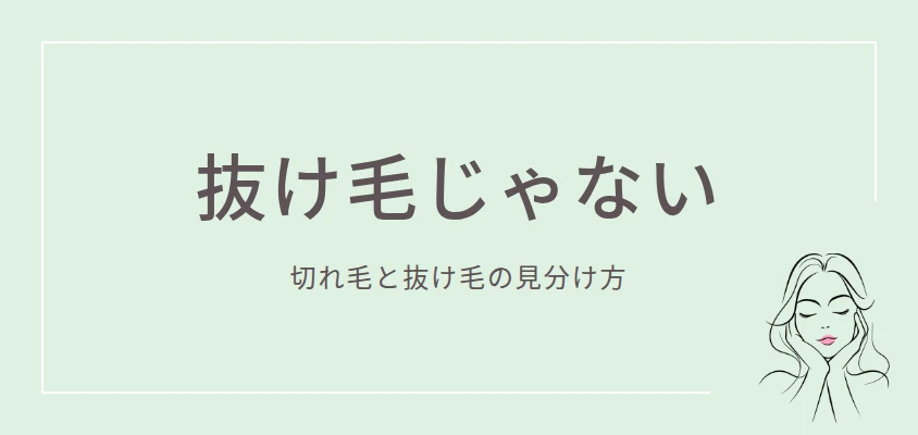 抜け毛じゃない｜切れ毛と抜け毛の見分け方
